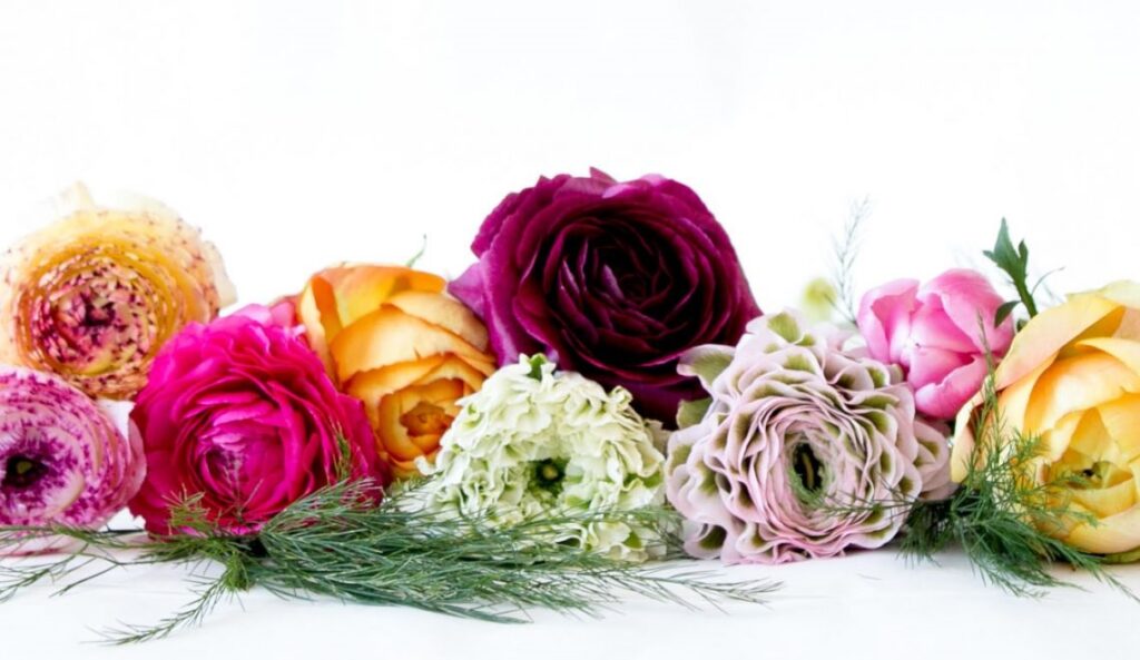 Why give flowers as presents?